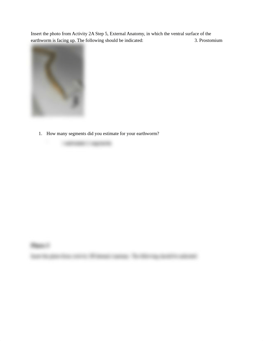 BIO 102 Earthworm Dissection.pdf_dncteam933d_page2