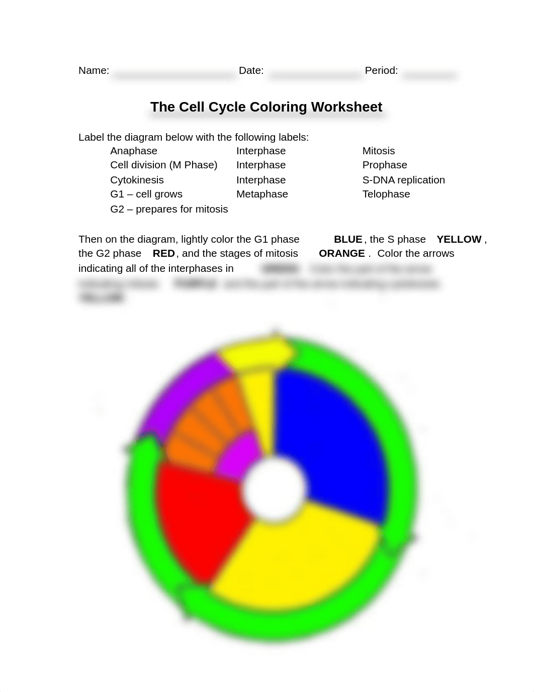 Cell Cycle Coloring-1-pdf.pdf_dncwg7diaxa_page1