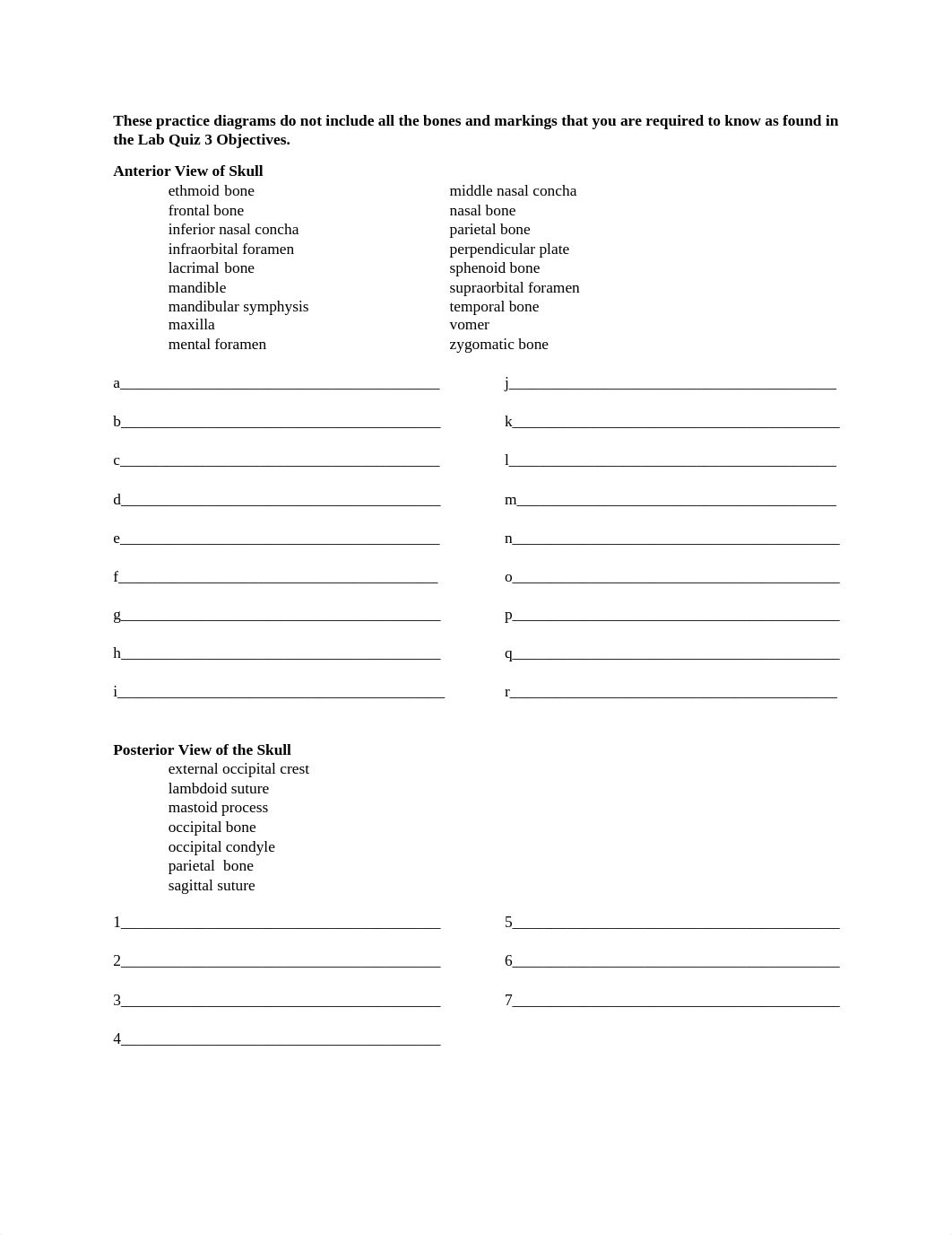 Lab_Skeletal System - Skull Practice.docx_dnd2gakpzpy_page4