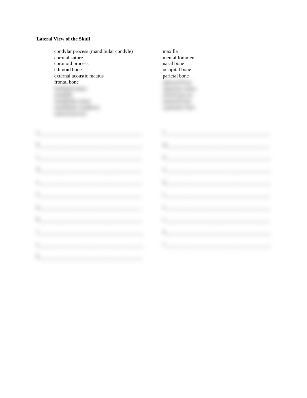 Lab_Skeletal System - Skull Practice.docx_dnd2gakpzpy_page5