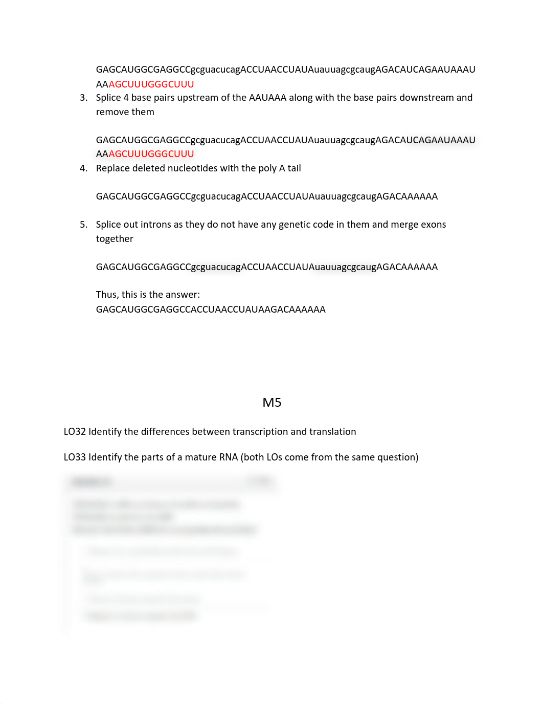 Evidence 2.pdf_dnd5o64kf6x_page2