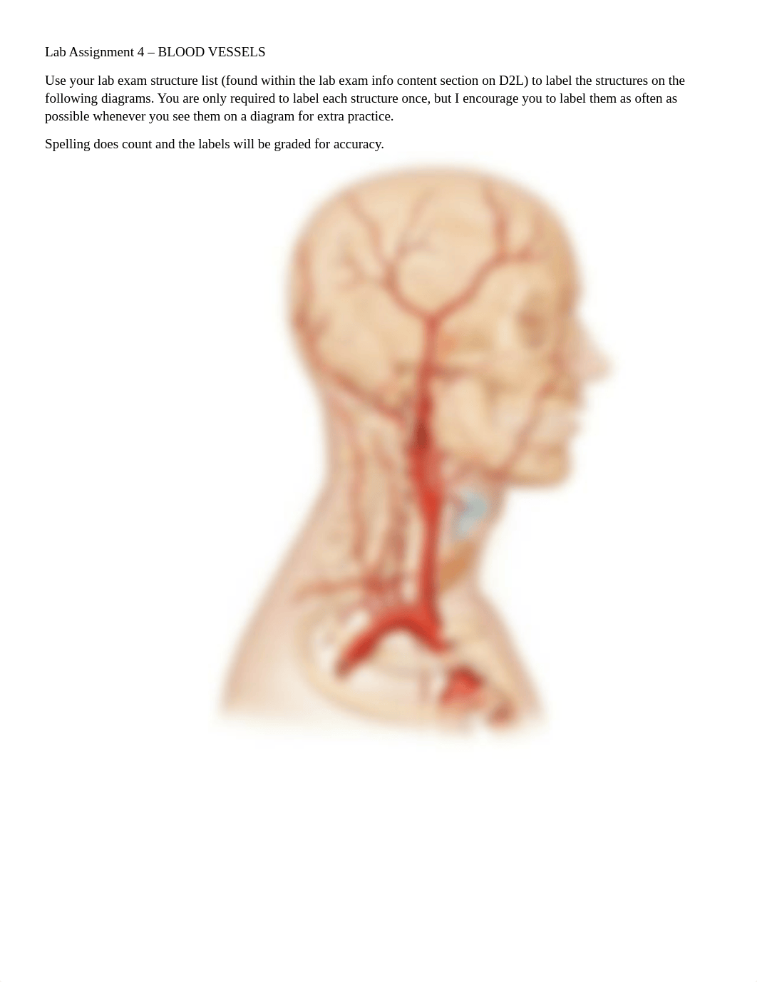 Lab Assignment 4.docx_dnd70dn35fb_page1