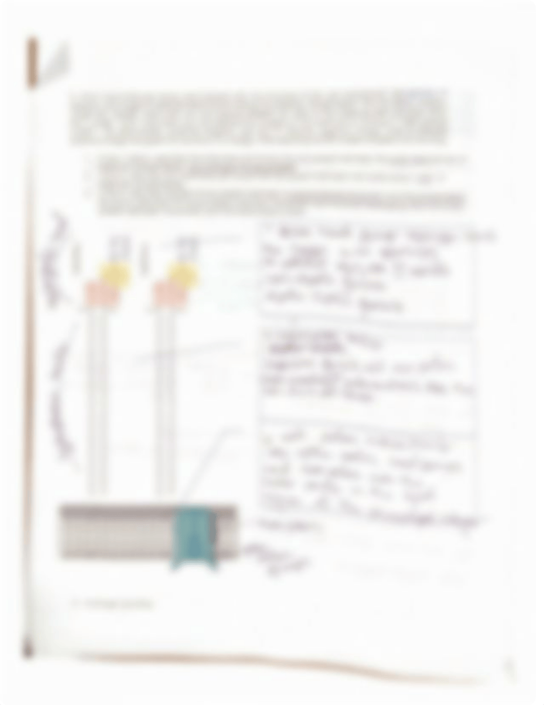 LAB 1 Aquaporin.pdf_dnd7r3bxtbm_page2