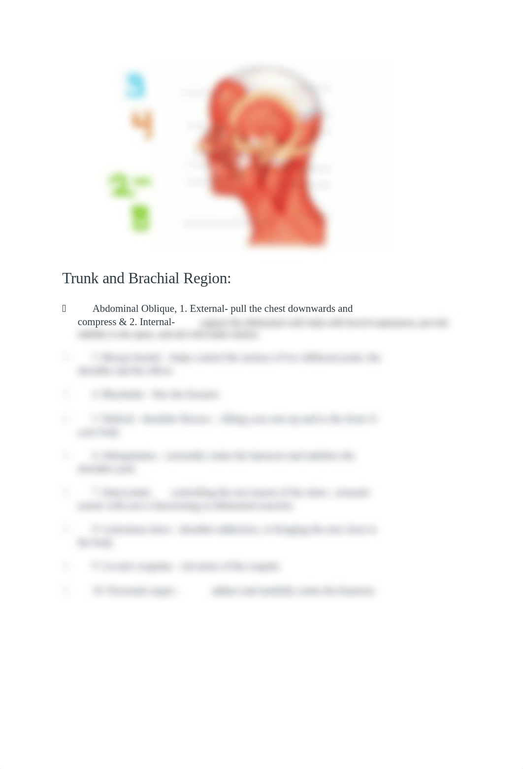 Pre-lab 5 Skelatal muscles 2019.docx_dnd847ptyo8_page2