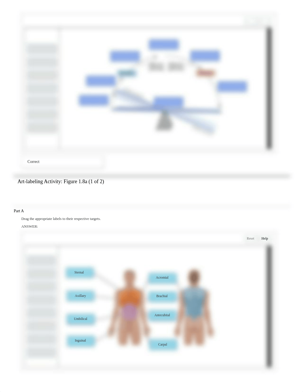 A&P I Ch 01 LAB HW.pdf_dndczmp0hyb_page4