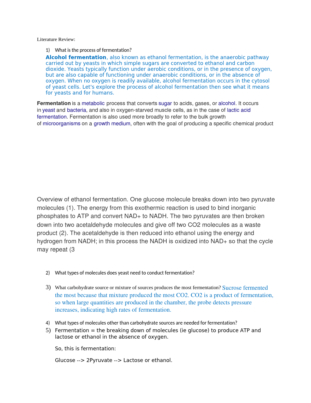 Literature Review lab2_dndk9vxuxg6_page1