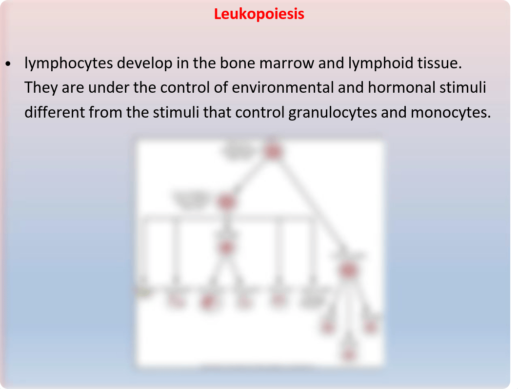 LECTURE 9_ LEUKOPOIESIS AND LEUKOCYTE FUNCTIONS.pdf_dne569pdkvv_page5