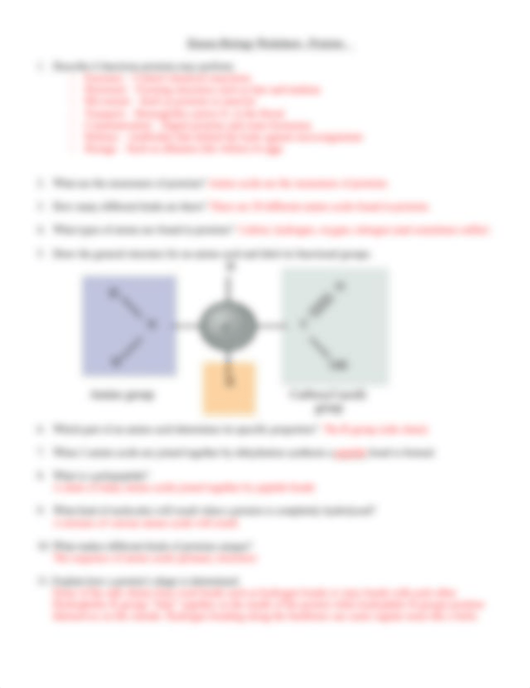 macromolecule_sheets-answers.doc_dne9djmiye4_page2