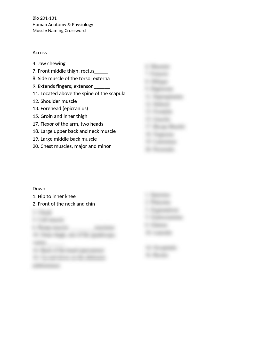 Muscle Naming Crossword.docx_dneieso6z7b_page1