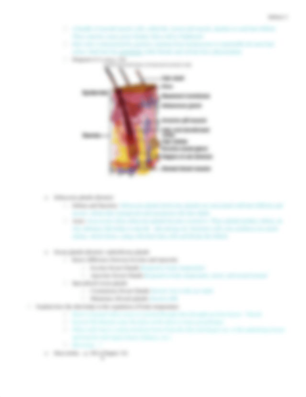 Unit 4 Integumentary System (Ch.6) Review.docx_dnekzew3xp9_page3