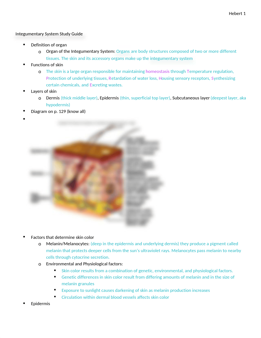 Unit 4 Integumentary System (Ch.6) Review.docx_dnekzew3xp9_page1