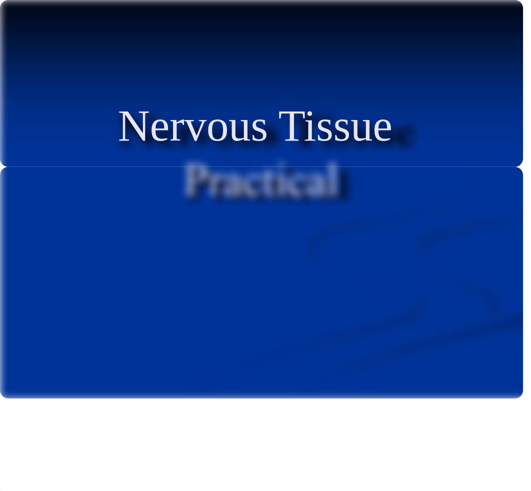 Nervous Tissue Practical - Lab_dnf81kwq72y_page1