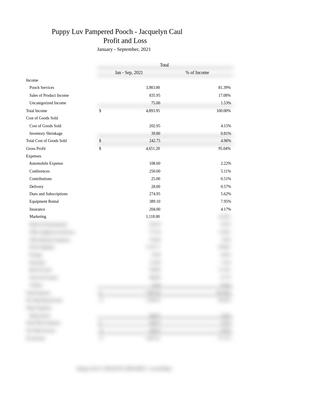 CH11 Profit and Loss Statement - Jacquelyn Caul.xlsx_dnfadou6zab_page1