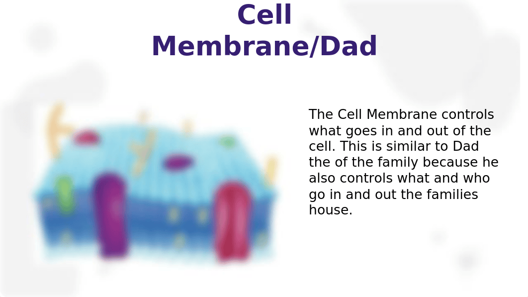 Animal Cell Family Photo Album Project.pptx_dnfceazpuvo_page3