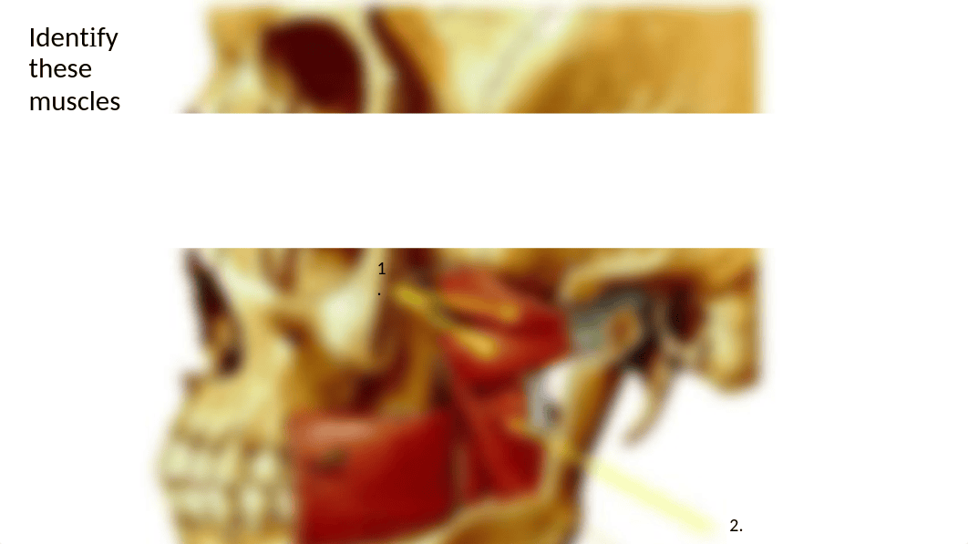 Lab practical II study aid.pptx_dnfmkvelq4a_page3