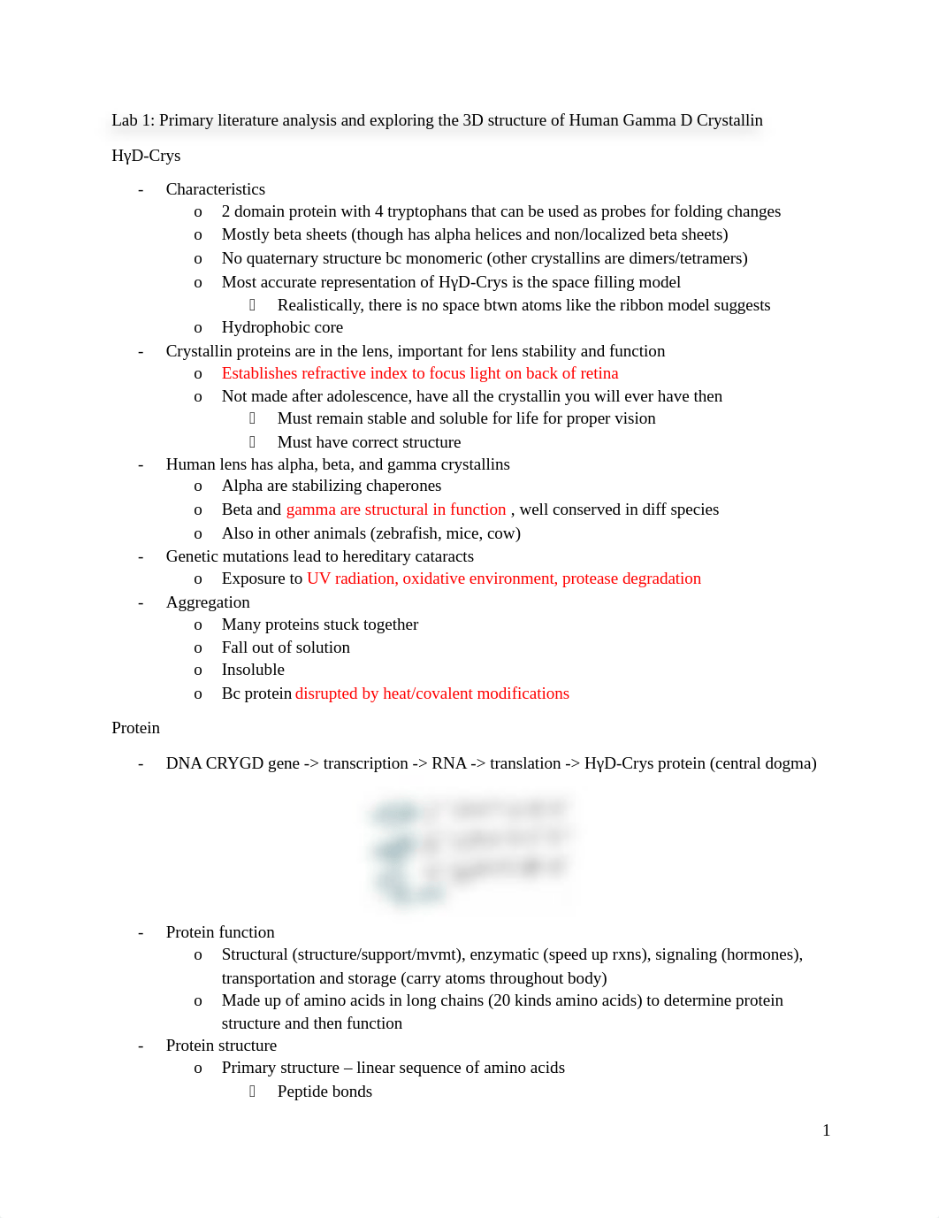 Lab study guide midterm.docx_dng003bf76r_page1