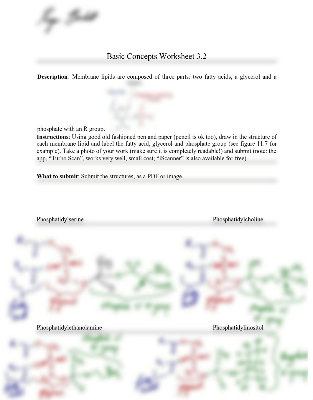 Basic Concept worksheet 3.2.pdf_dng4cx87jyz_page1