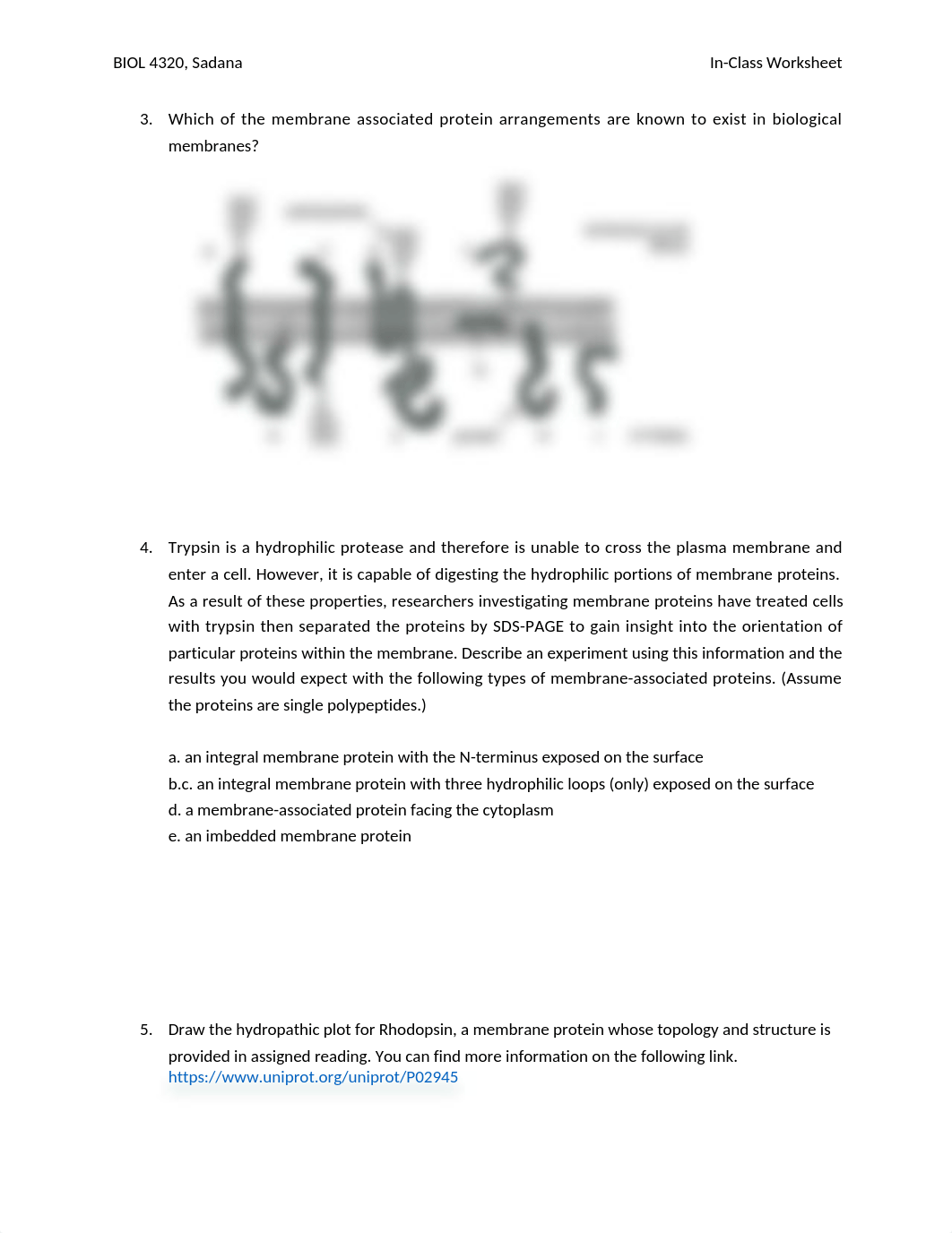 problem set_Fall 18_plasma membrane structure.docx_dng96wt4ox5_page2