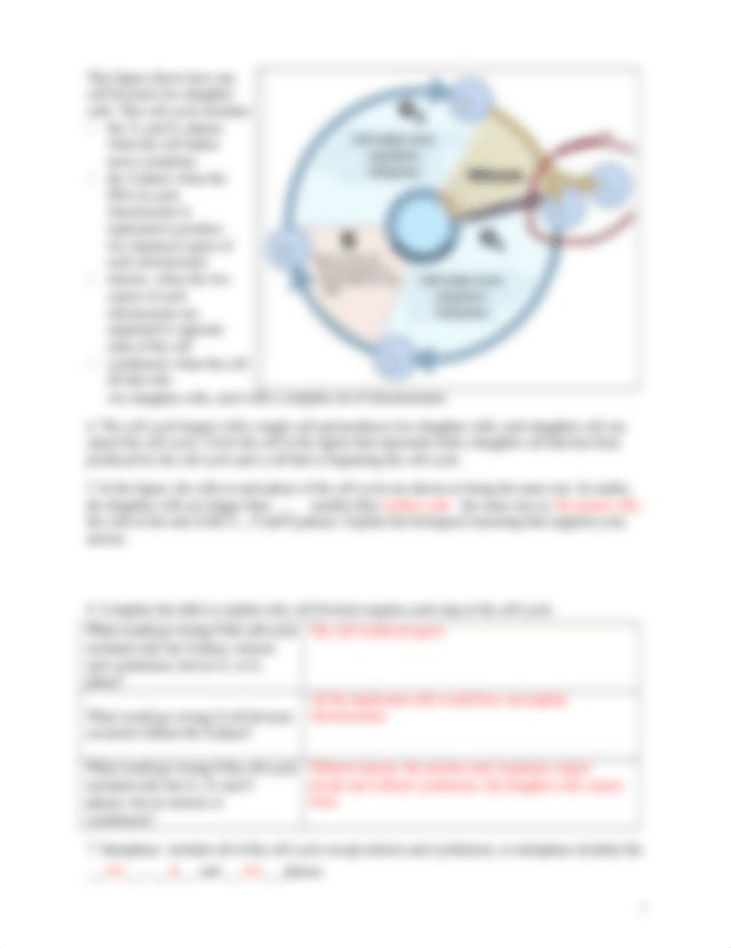 Mitosis Homework.docx_dngbckxsy0o_page2