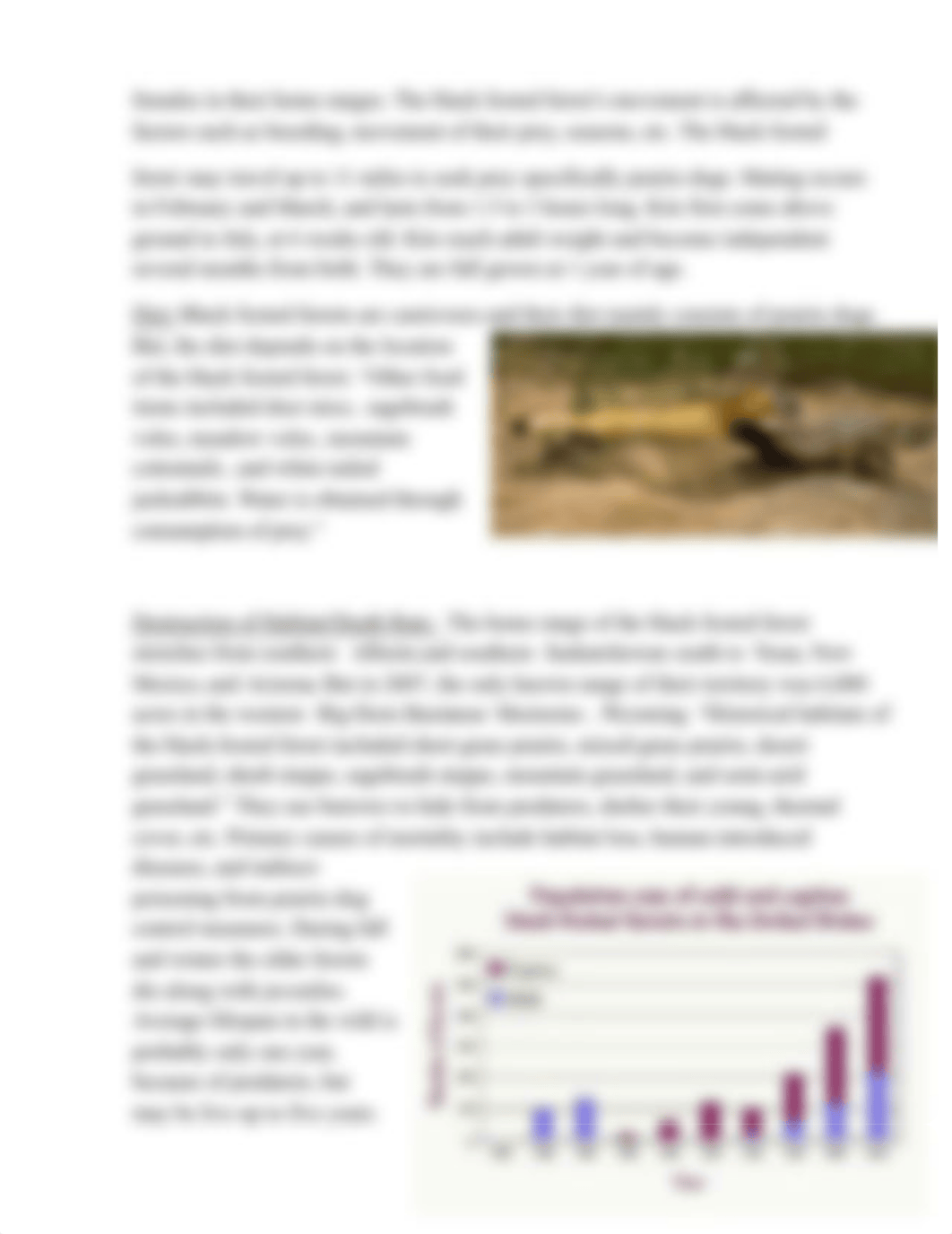 The Black-Footed Ferret Essay.docx_dngdzihkzo4_page3