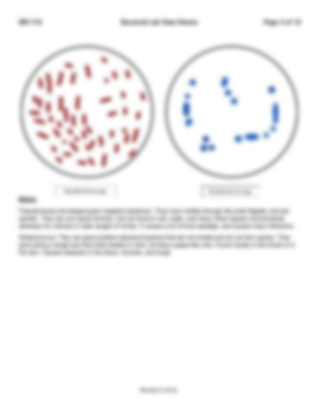 Bacteria_LAB_DataSheet.pdf_dngetds6bkb_page5