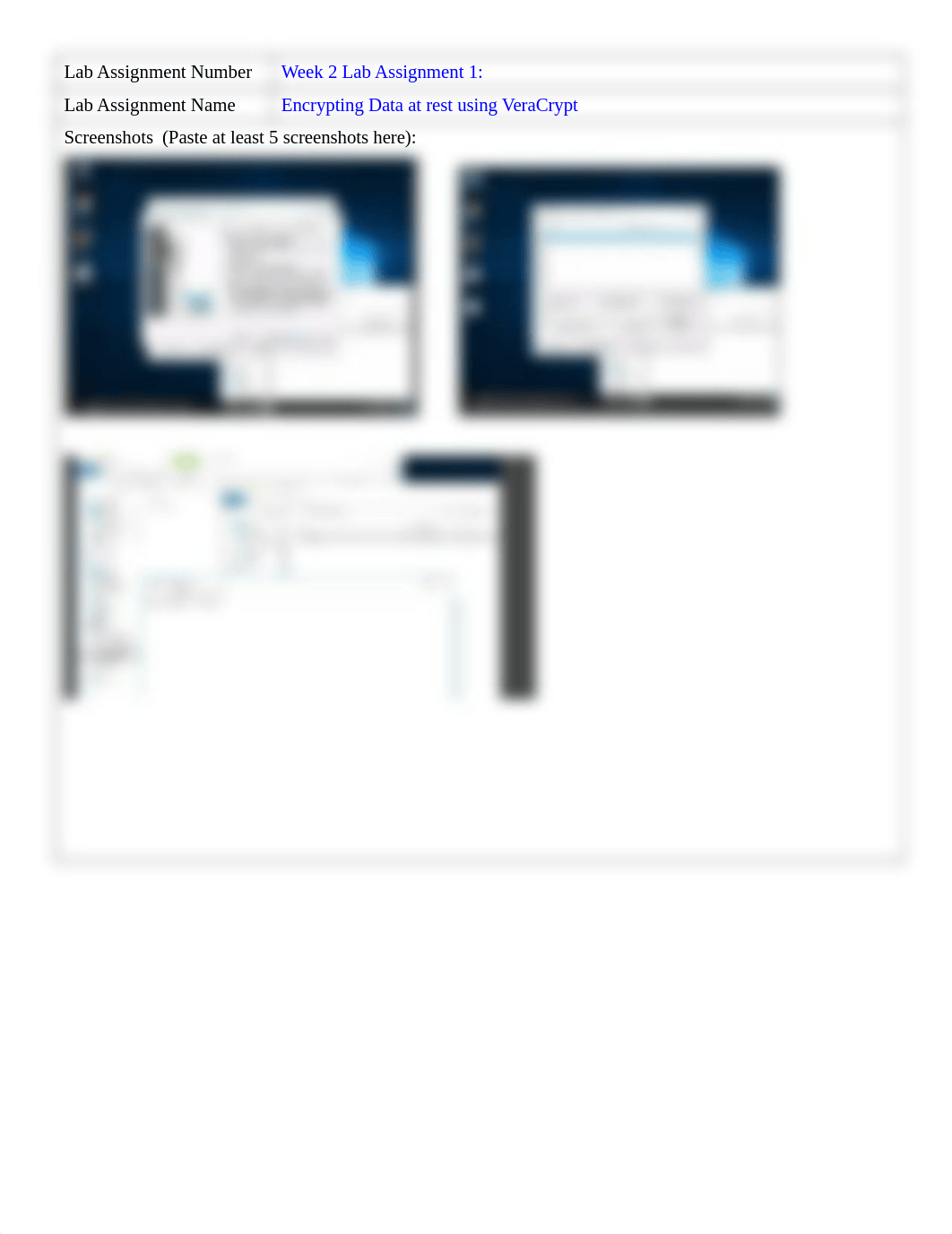 Wk1 Lab Assignment 1_Encypting Data_VeraCrypt.docx_dngfe71830x_page1