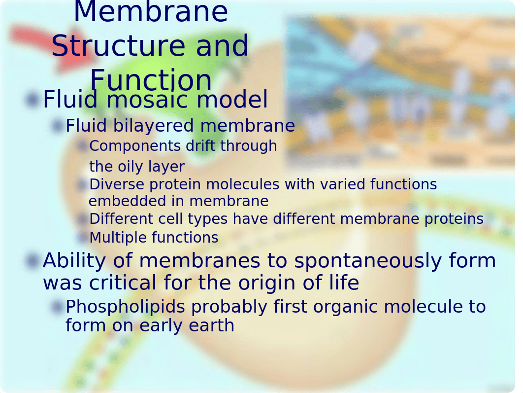 Bio101_Chapter5_Fall_12_Campbell_CC_dngj6mf7a4v_page2