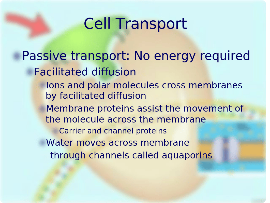 Bio101_Chapter5_Fall_12_Campbell_CC_dngj6mf7a4v_page5