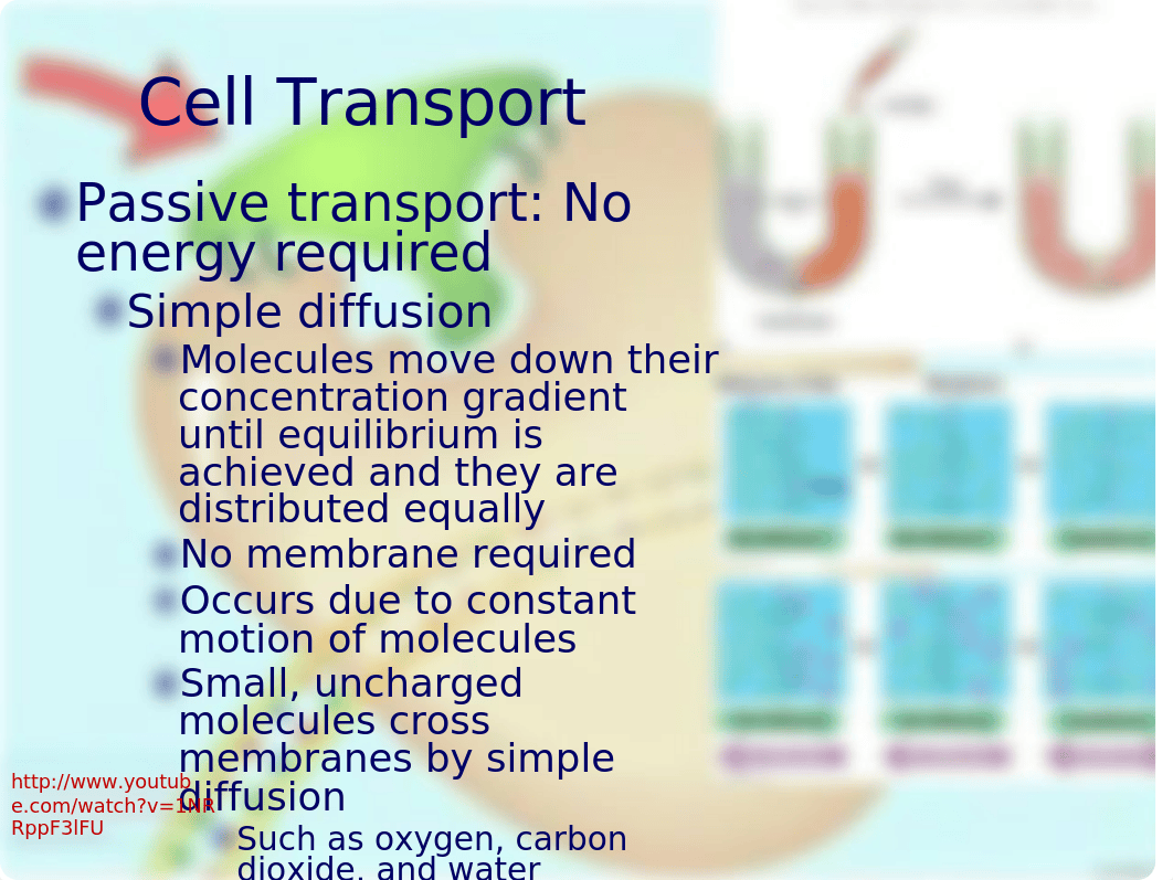 Bio101_Chapter5_Fall_12_Campbell_CC_dngj6mf7a4v_page4