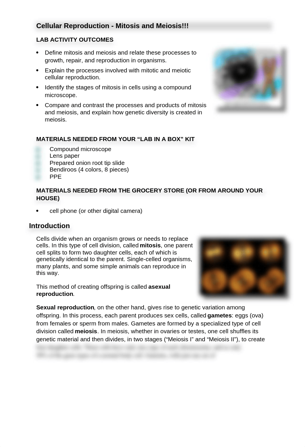 mitosis and meiosis lab sp17.docx_dngjazspvfh_page1