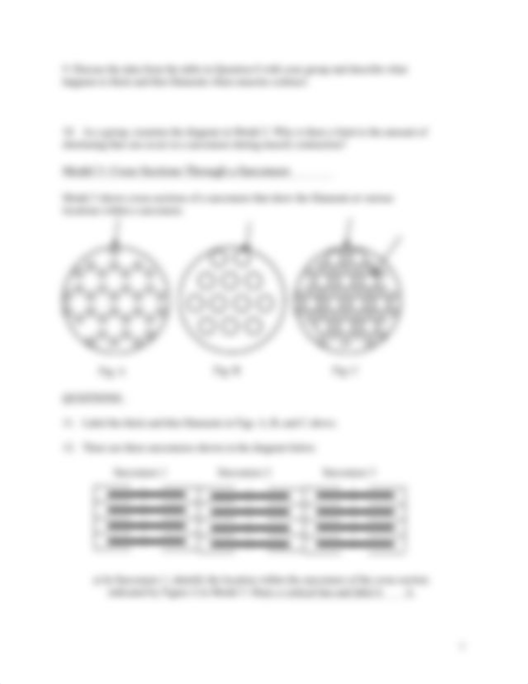 Chapter 10 Muscle Activity-1.pdf_dngl0wj8zx1_page3