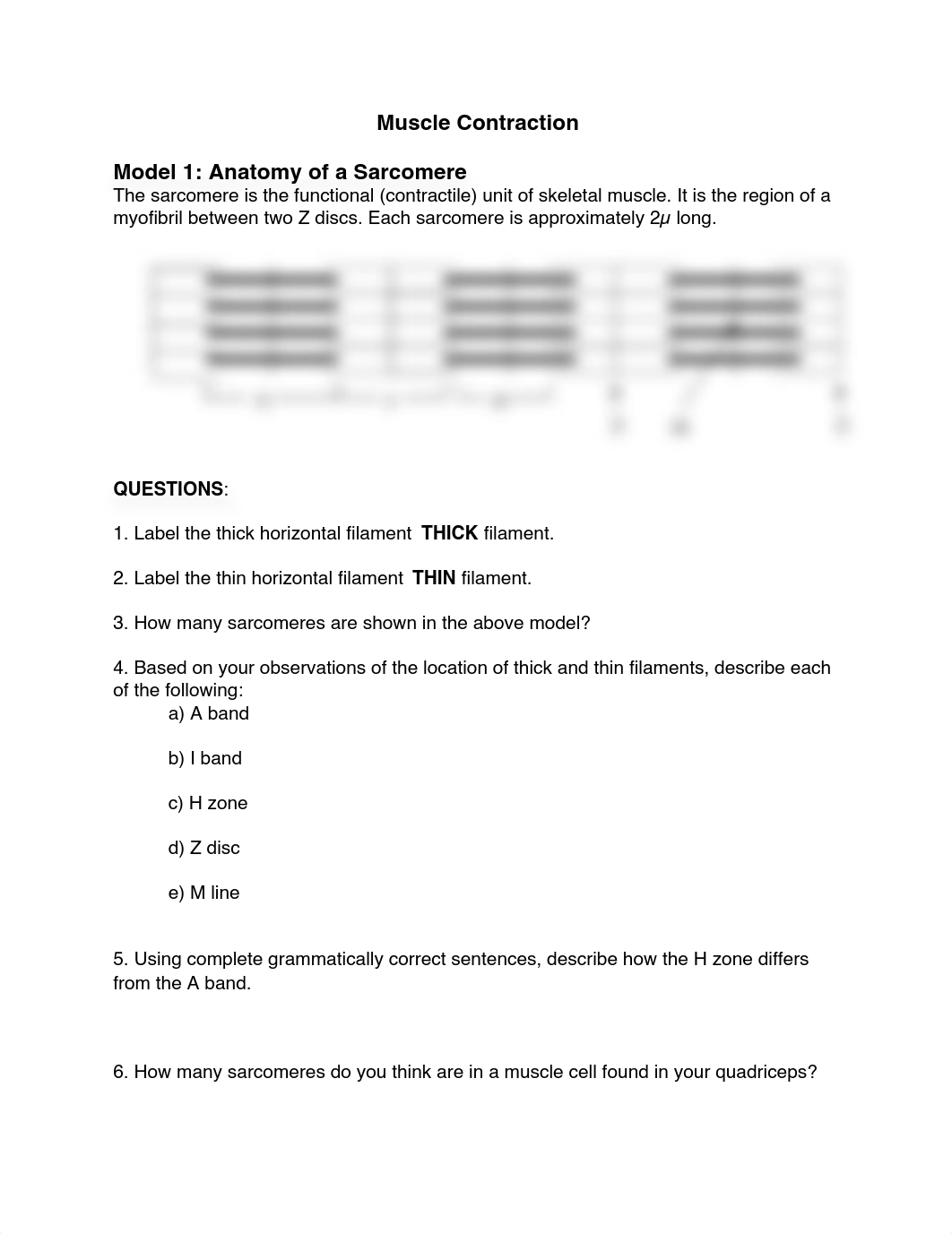 Chapter 10 Muscle Activity-1.pdf_dngl0wj8zx1_page1