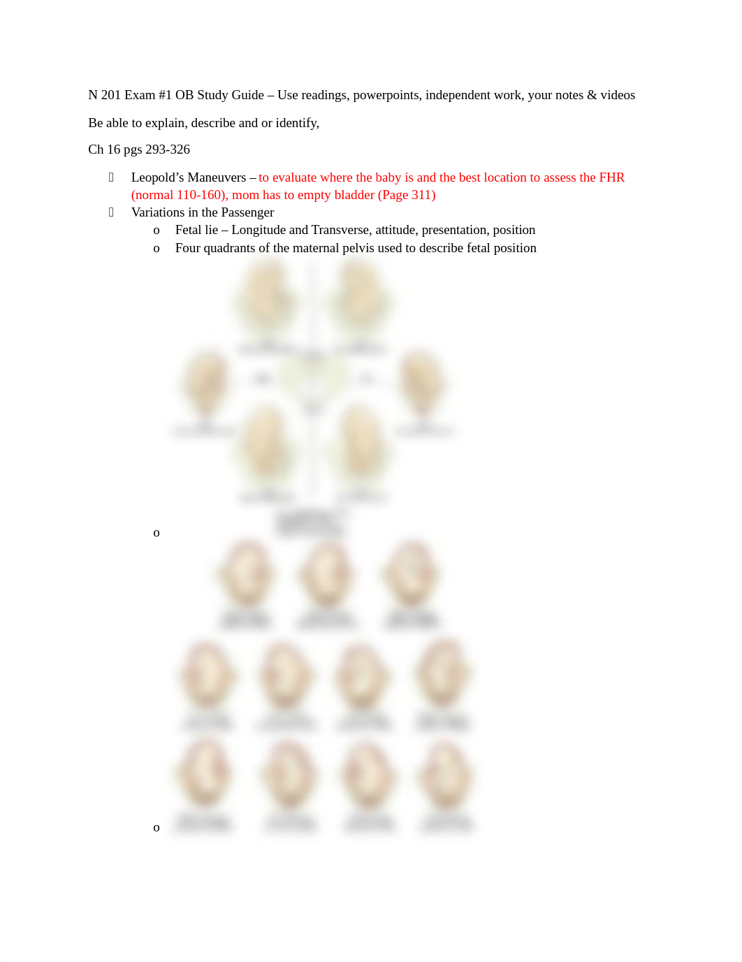 N 201 Exam #1 OB Study Guide.docx_dngou8yjrok_page1