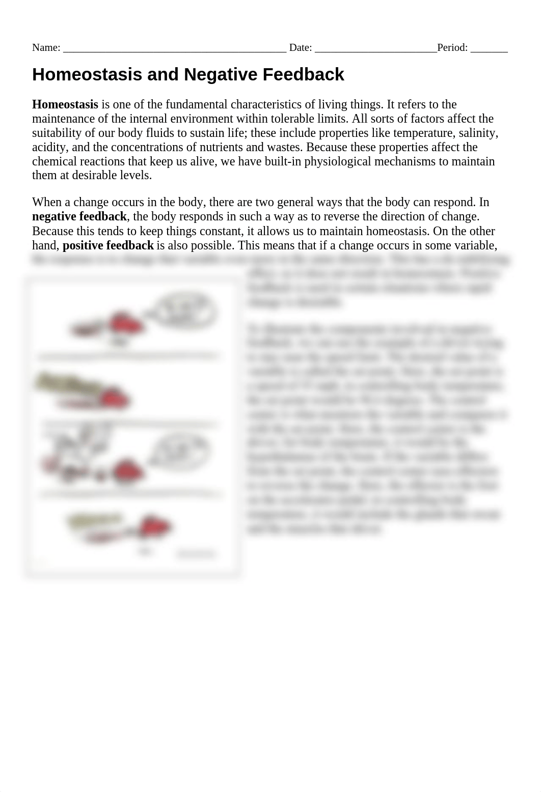 Homeostasis_Worksheet.docx_dngrm97316w_page1