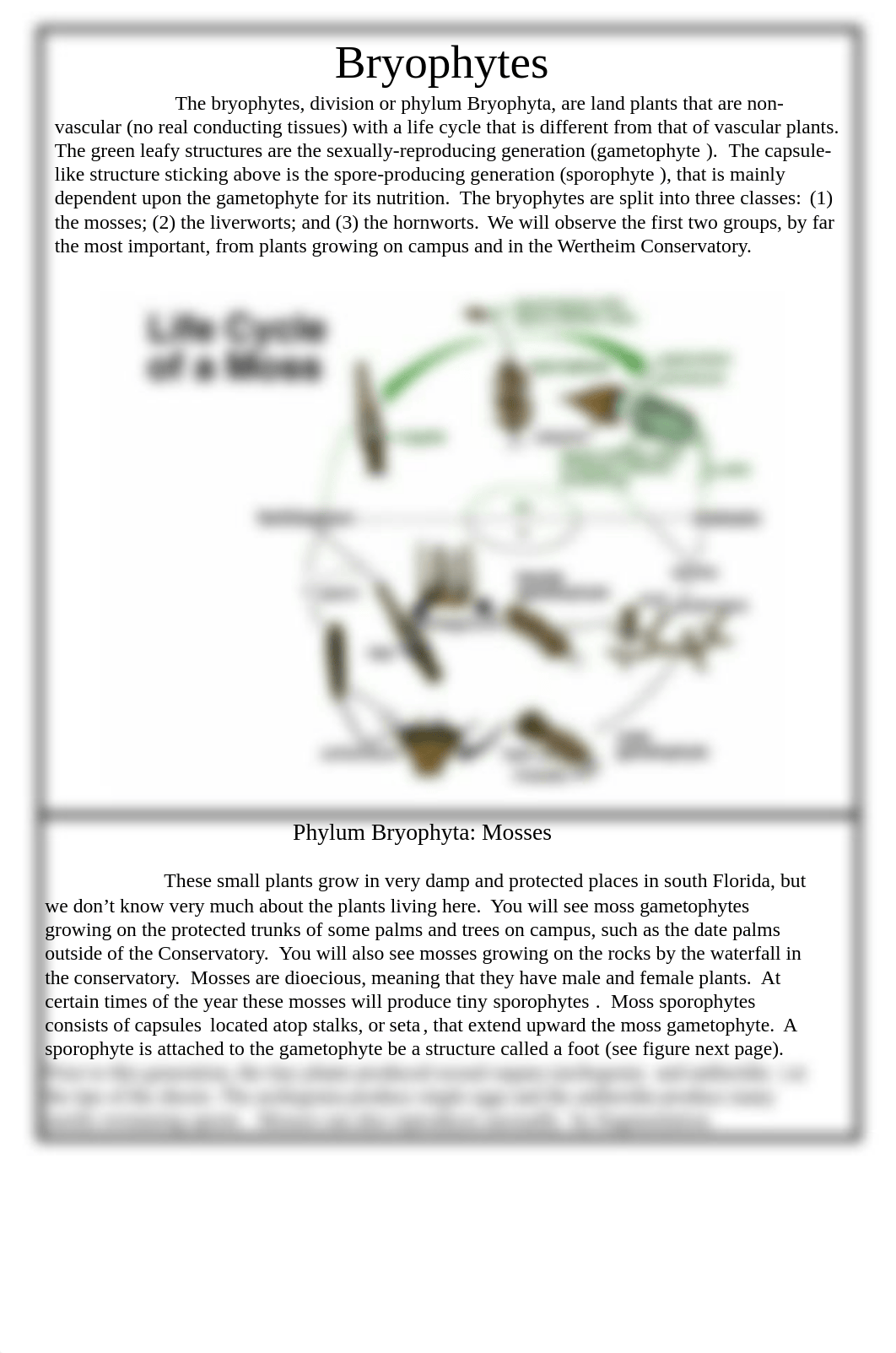 week 4, nonvascular and vascualr seedless plants_dngu2mhsvcn_page2