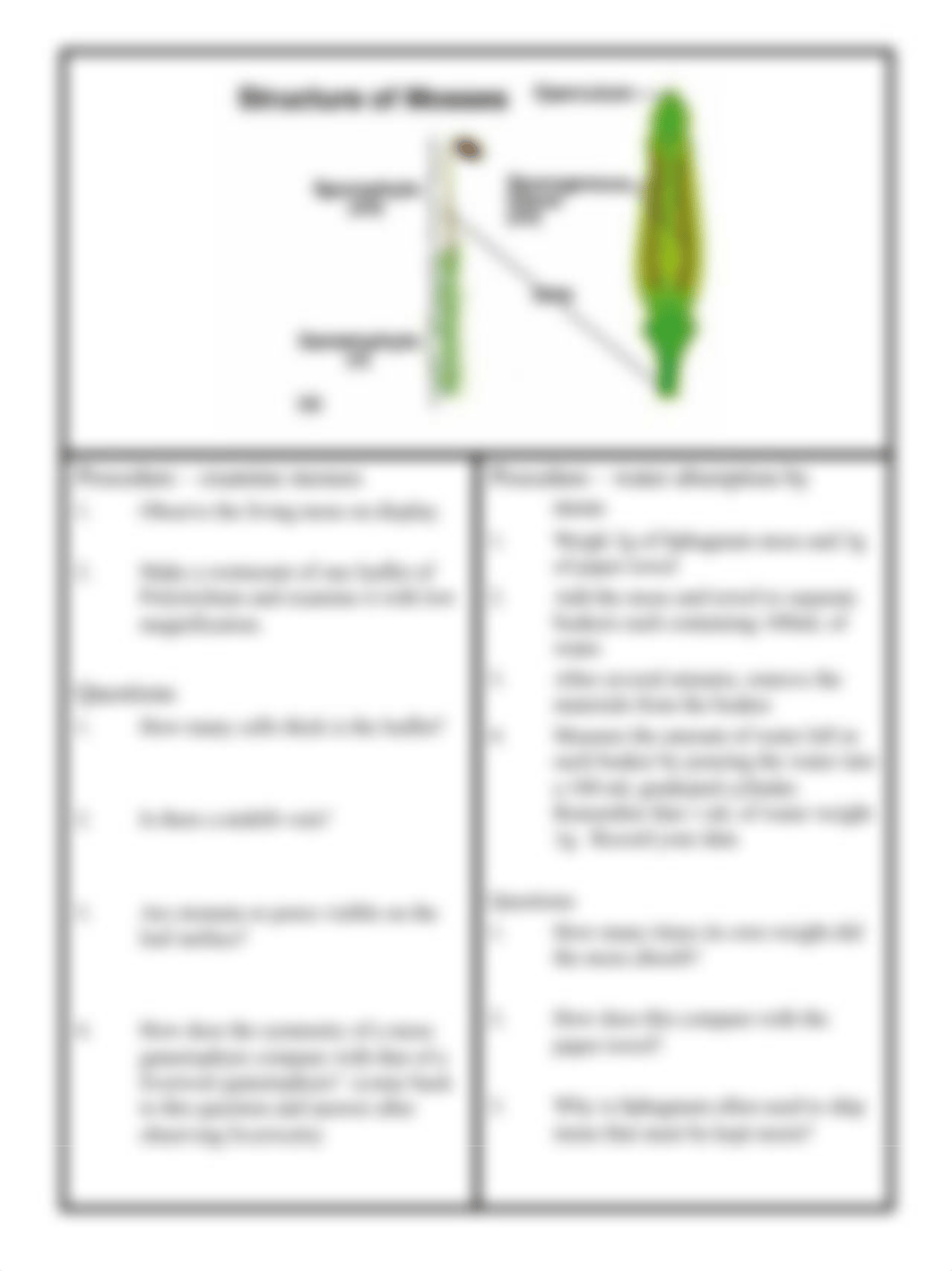 week 4, nonvascular and vascualr seedless plants_dngu2mhsvcn_page3