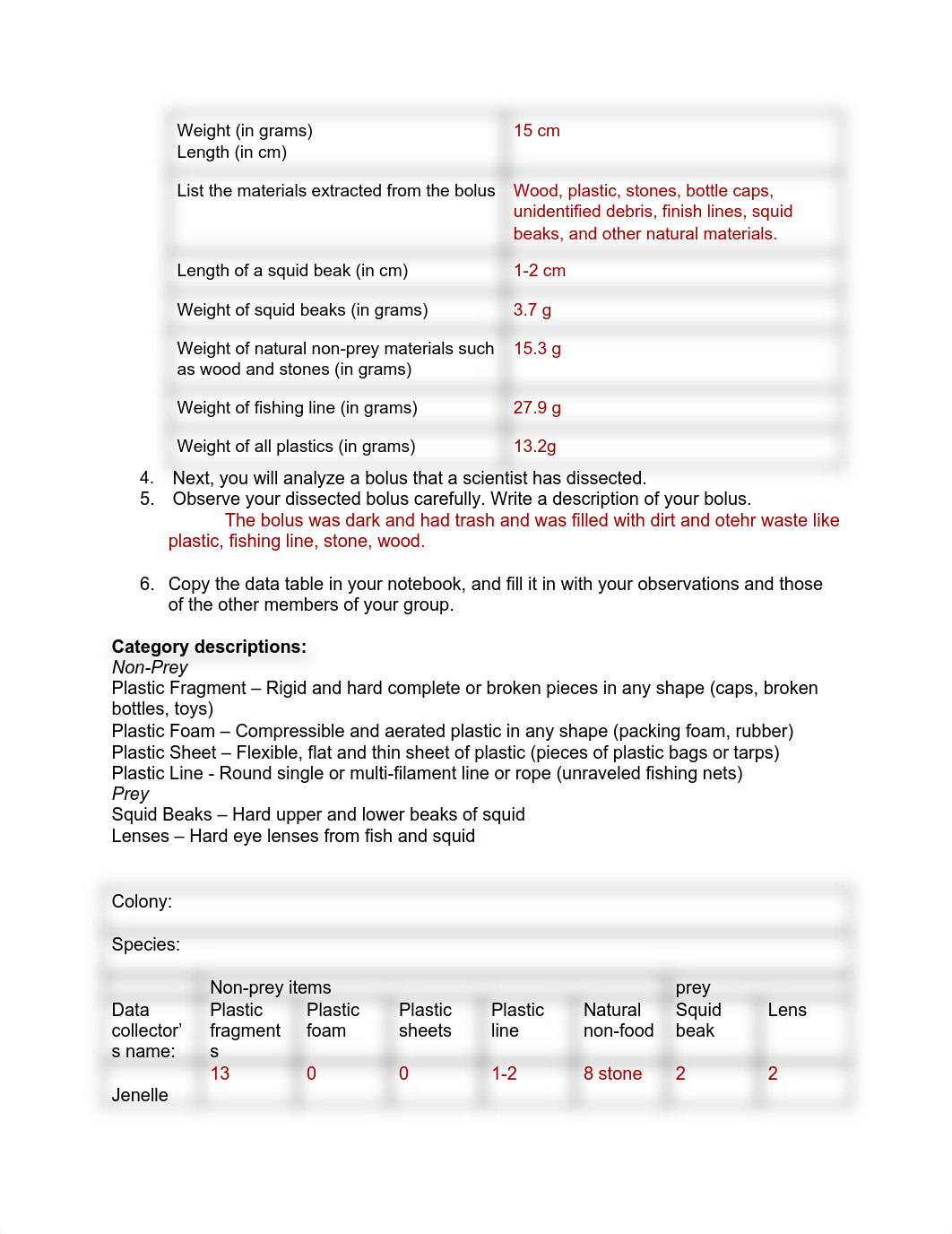 Copy of Albatross Bolus Dissection.pdf_dngwx8j29x0_page2