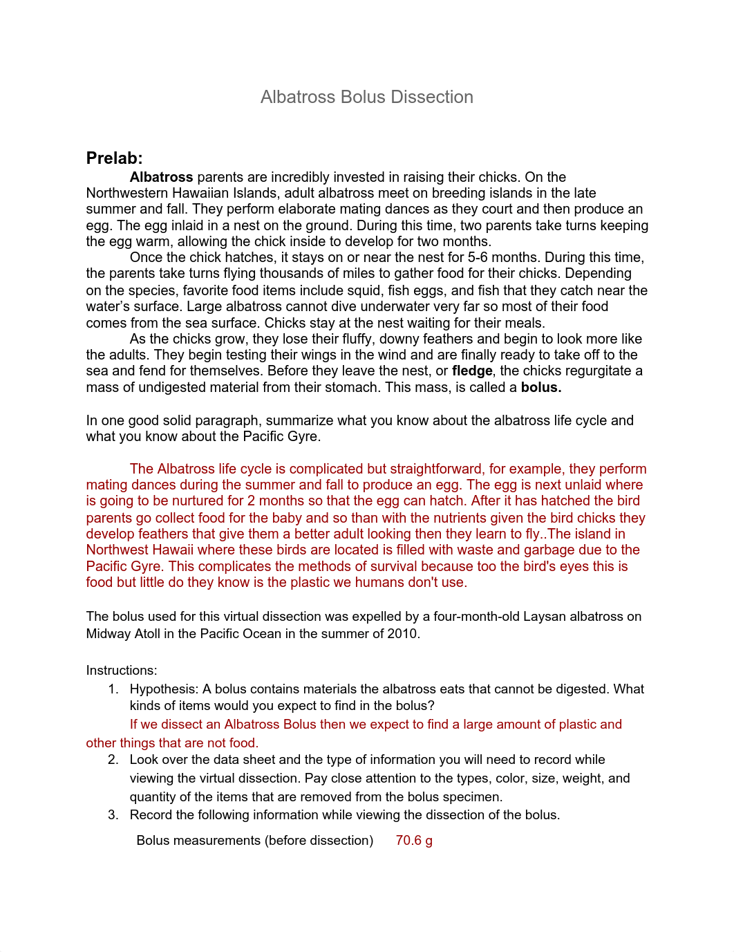 Copy of Albatross Bolus Dissection.pdf_dngwx8j29x0_page1