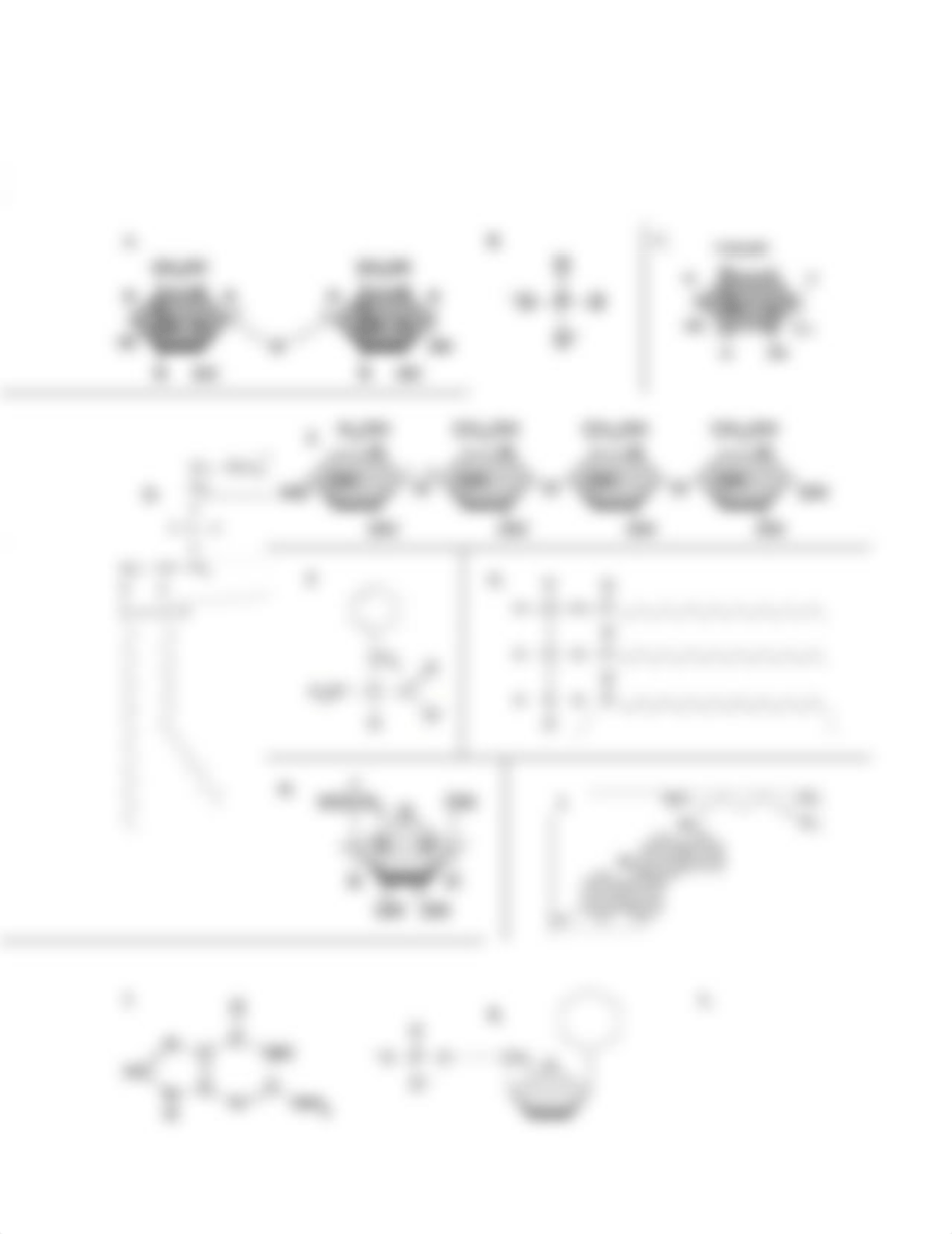 Macromolecule practice_dngxzgltx6b_page2