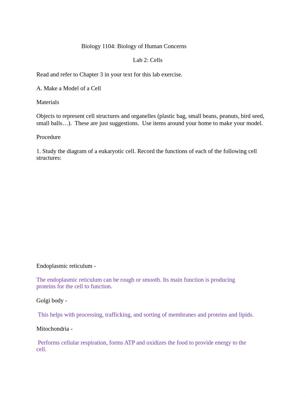 Cells lab .docx_dnh75mvwwhp_page1