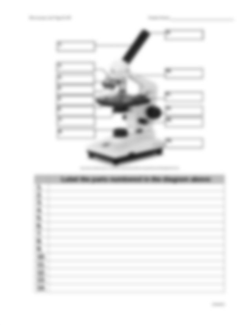 05 Microscope Lab Handout_dnh7pac7g1h_page2