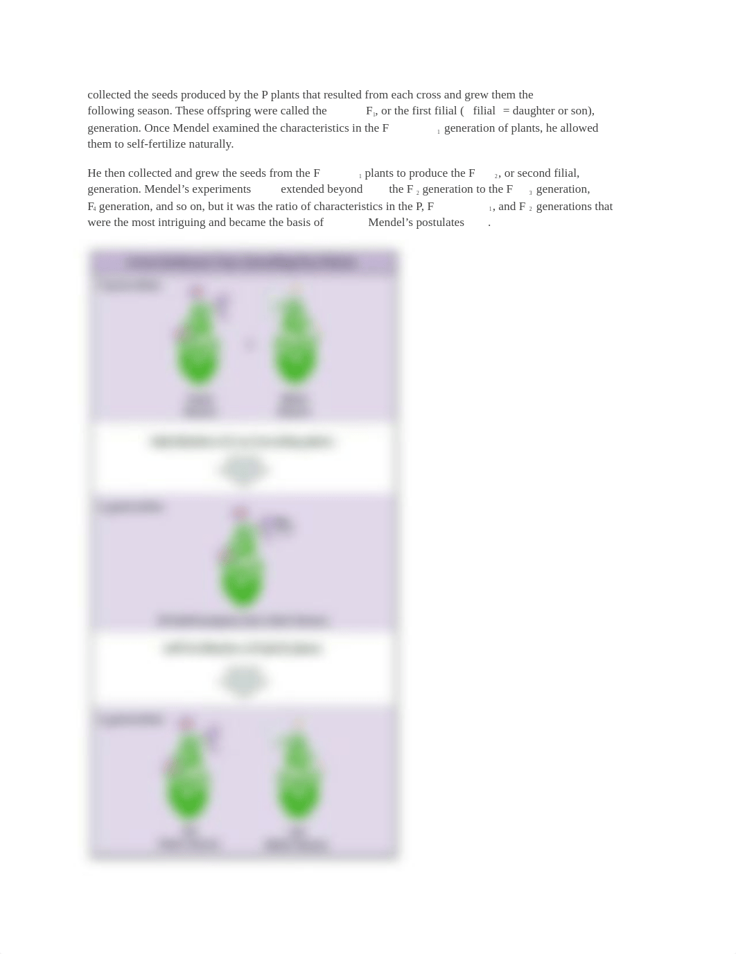 Biology Cogbooks UNIT 2.docx_dnh85g4vf1i_page2