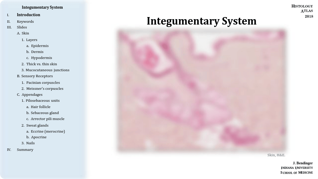 08 - Integumentary System.pdf_dnhekpkdnmv_page1