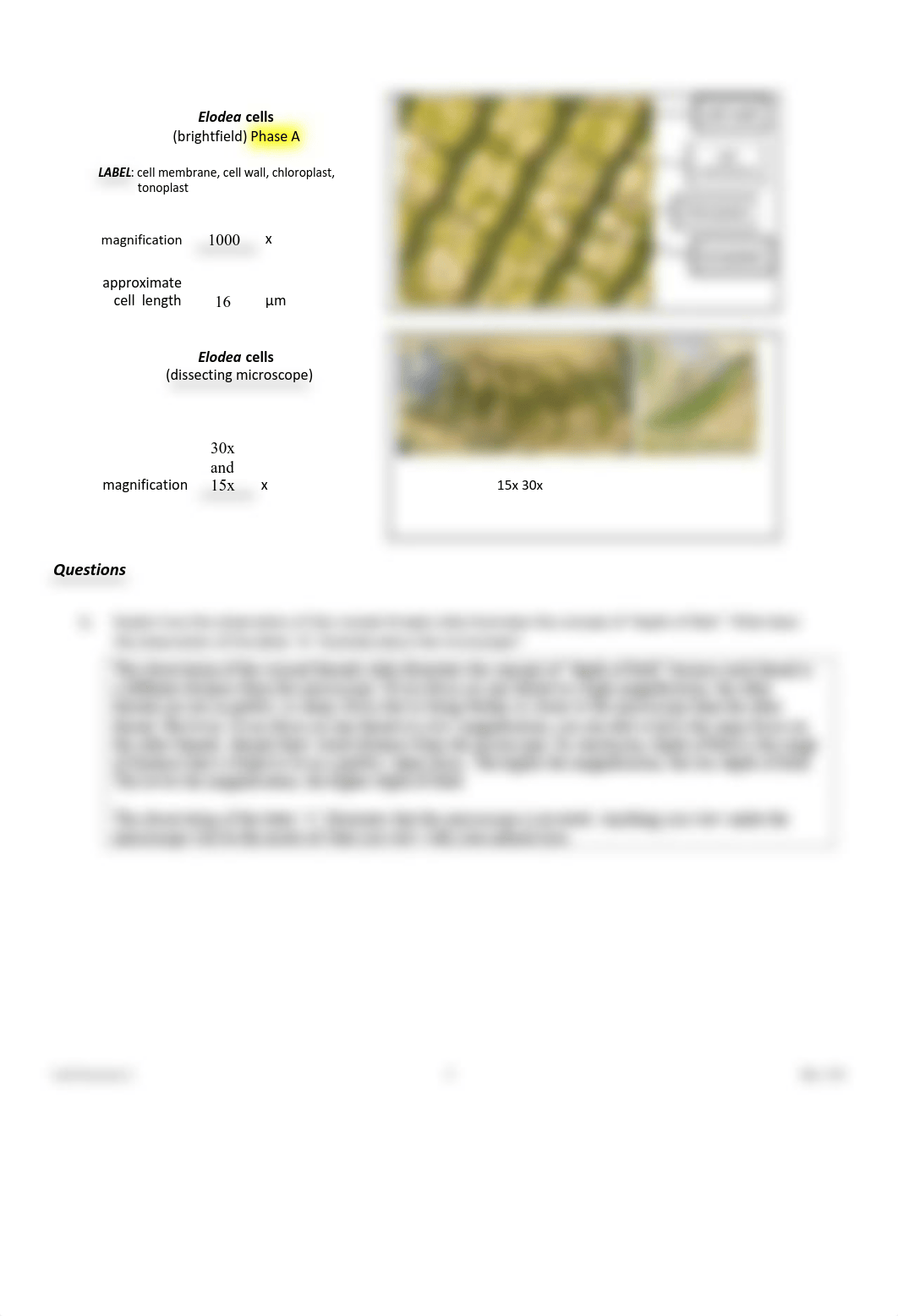 BIO 150 _ Lab #2.docx (1).pdf_dnhjloyal0r_page5