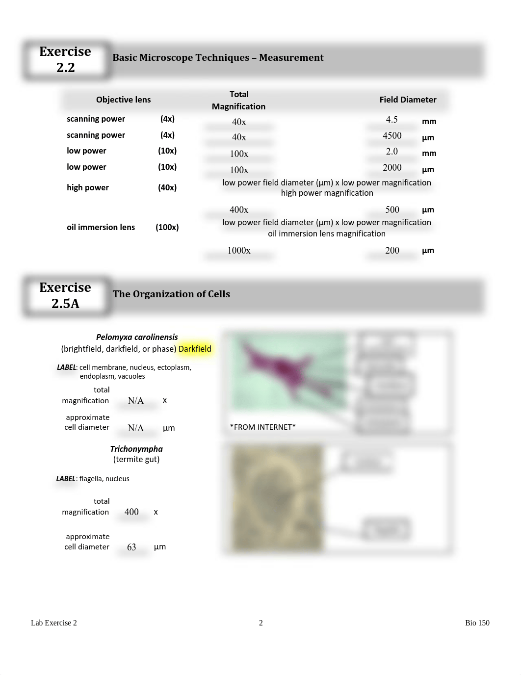 BIO 150 _ Lab #2.docx (1).pdf_dnhjloyal0r_page2