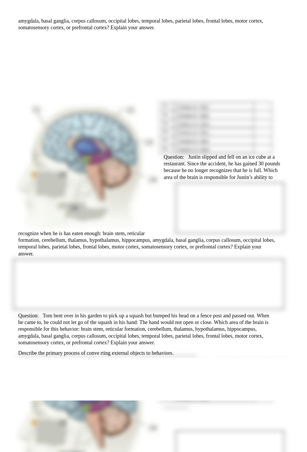 Brain and Behavior - Student Document III (1) DONE.docx_dnhxm9uvovu_page3