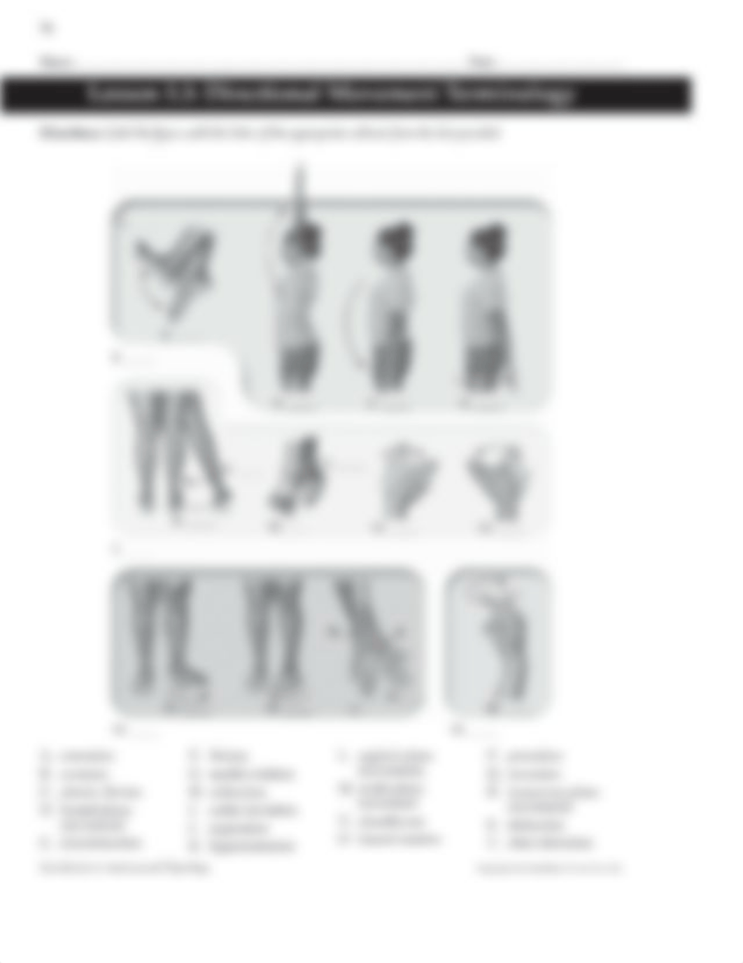 5.3_directional_movement_Terminology.pdf_dni17wyg8pf_page1