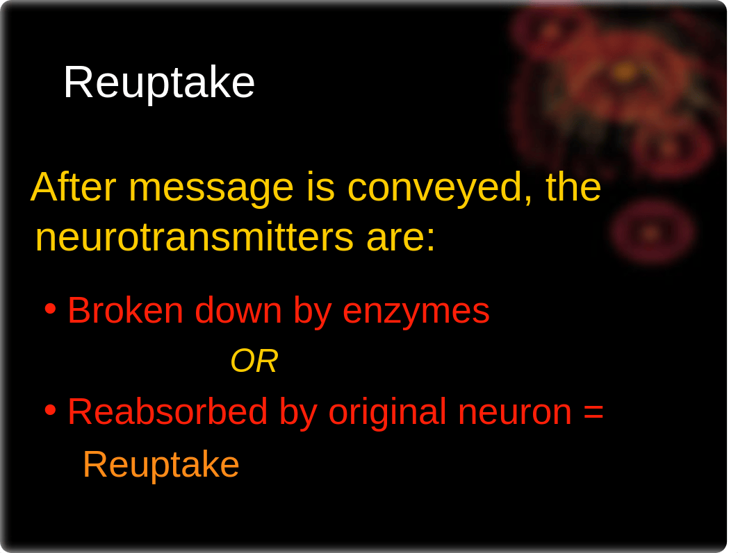 PY317 - 3 - How Drugs Work- Pharmacology - Psychopharmacology-3_dni42zb0lwx_page5