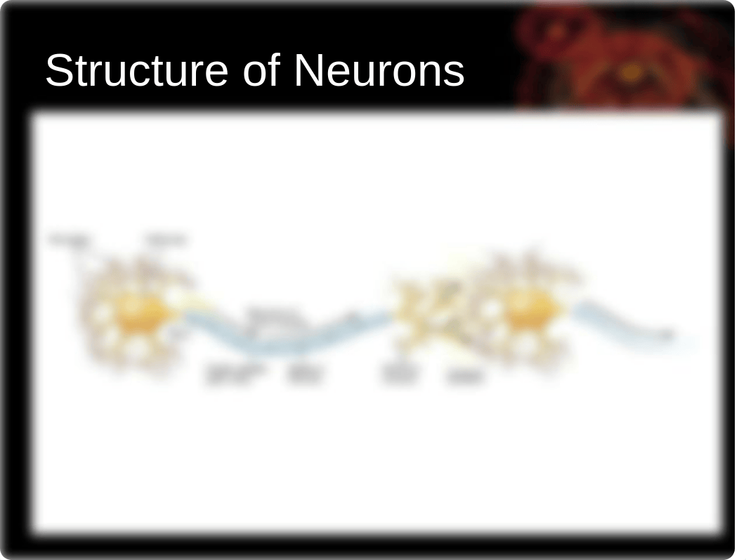 PY317 - 3 - How Drugs Work- Pharmacology - Psychopharmacology-3_dni42zb0lwx_page2