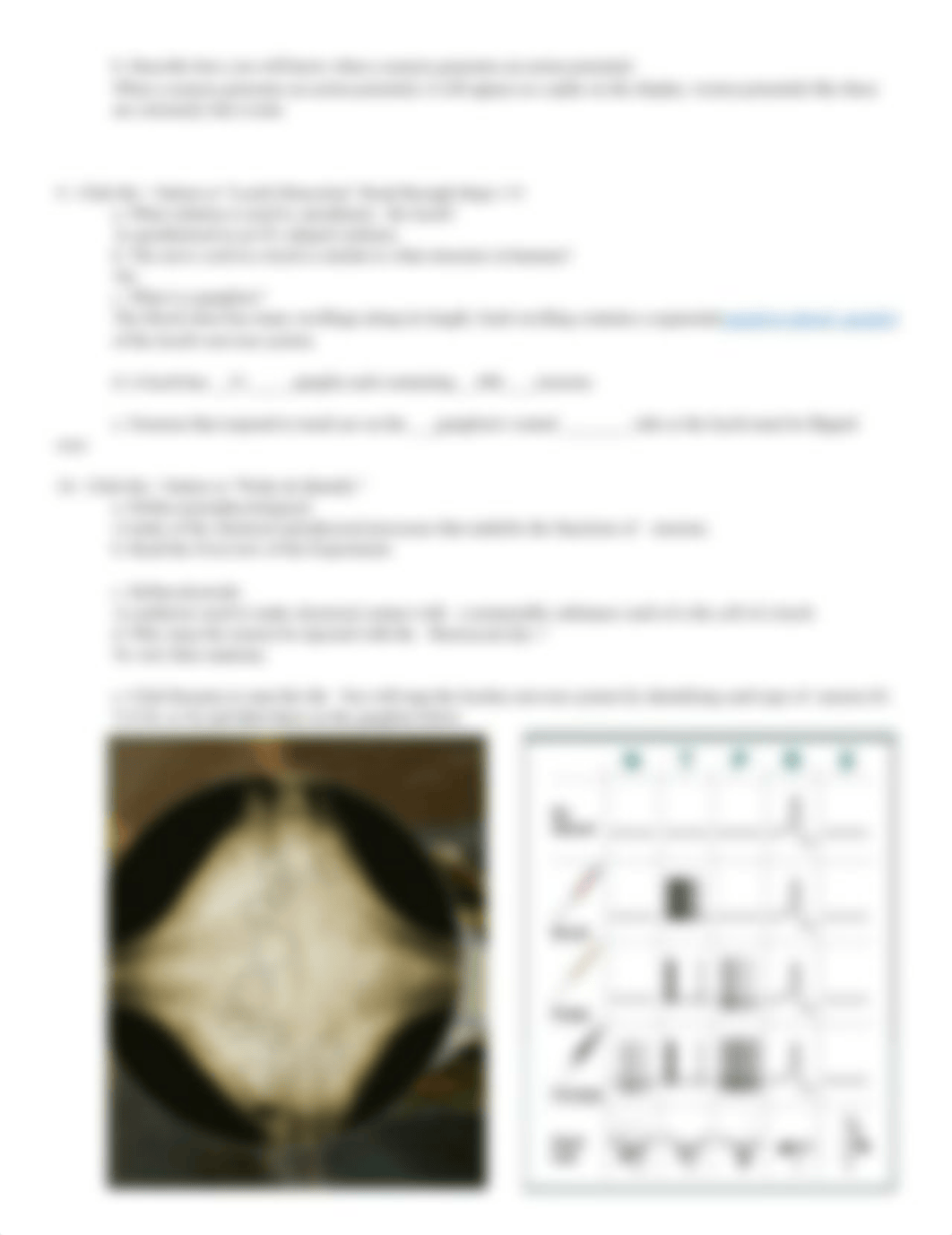 Copy_of_Ch._11_HHMI_Virtual_Neurophysiology_Lab_done.docx_dni6d4ttjho_page2